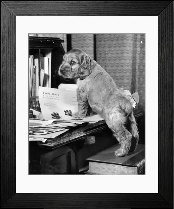 Framed Print : Susi - with books and papers Framed Print : Susi - with books and papers