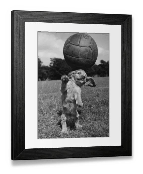 Framed Print : Susi - having fun with a football Framed Print : Susi - having fun with a football