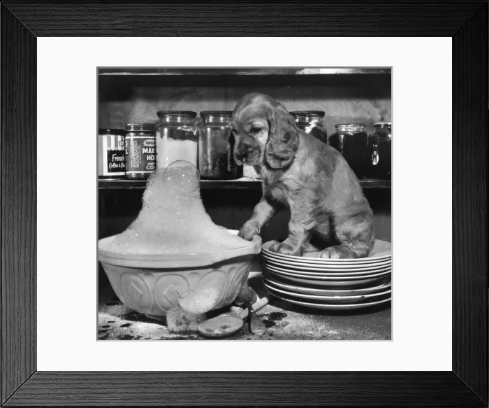 Framed Print : Susi - with baking bowl Framed Print : Susi - with baking bowl