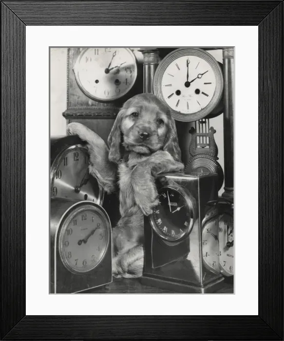 Framed Print : Susi - with a lot of clocks Framed Print : Susi - with a lot of clocks