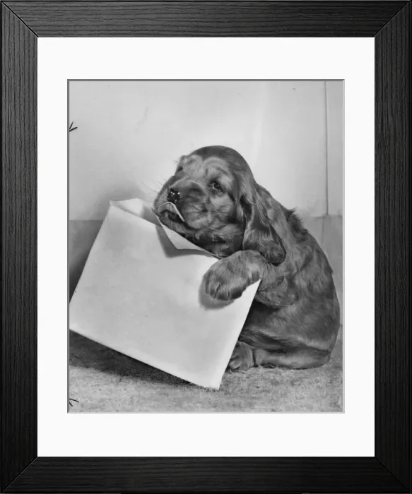Framed Print : Susi - with envelope Framed Print : Susi - with envelope
