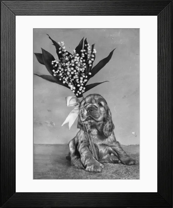 Framed Print : Susi - with lily of the valley Framed Print : Susi - with lily of the valley