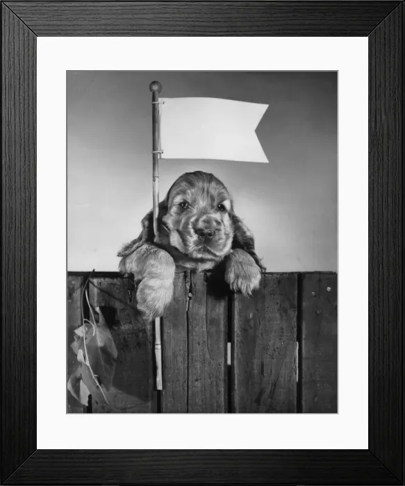 Framed Print : Susi - holding a flag Framed Print : Susi - holding a flag