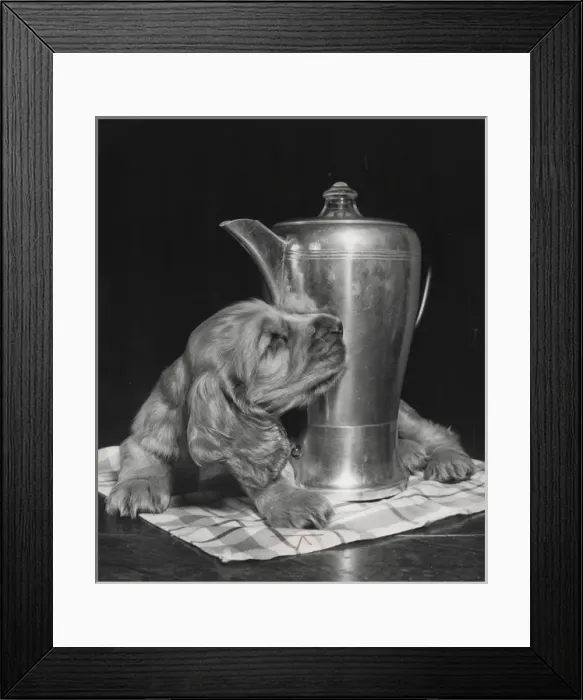 Framed Print : Susi - with coffee pot Framed Print : Susi - with coffee pot