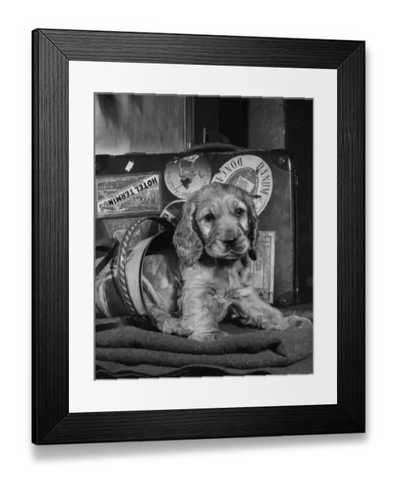Framed Print : Susi - going to the seaside Framed Print : Susi - going to the seaside