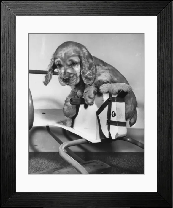 Framed Print : Susi - riding hobby horse Framed Print : Susi - riding hobby horse