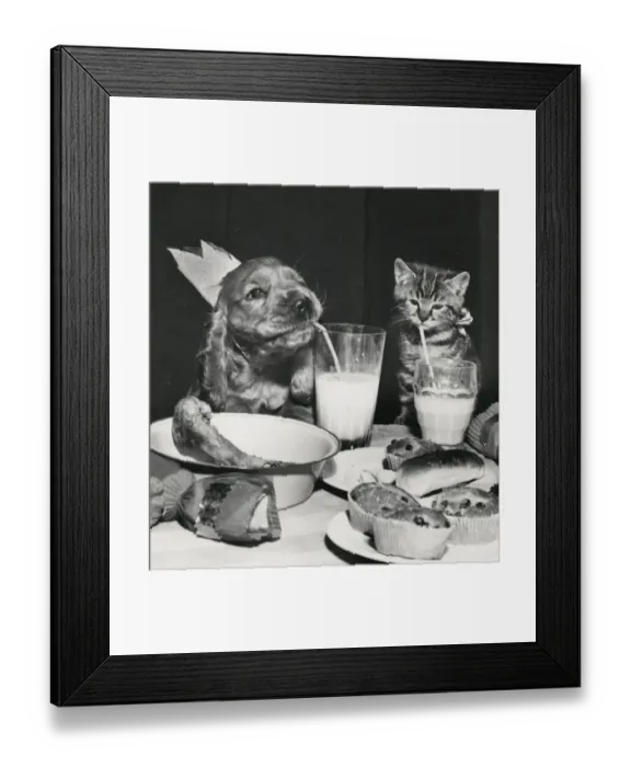 Framed Print : Susi - with kitten and party food Framed Print : Susi - with kitten and party food