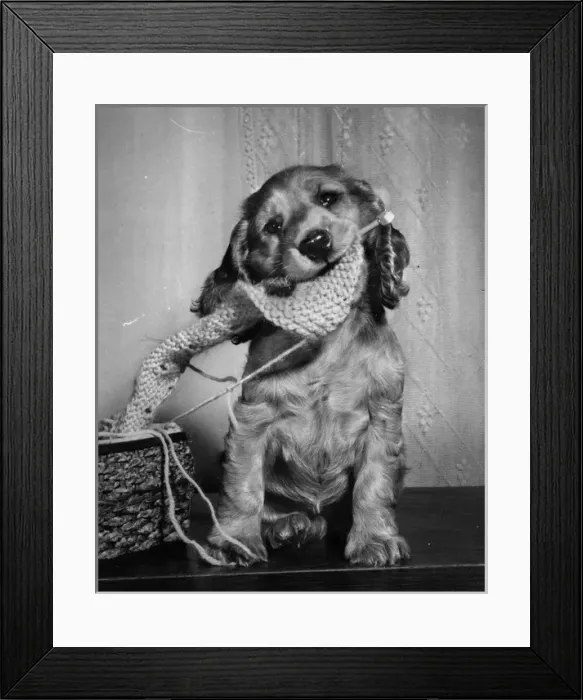Framed Print : Susi - with knitting Framed Print : Susi - with knitting