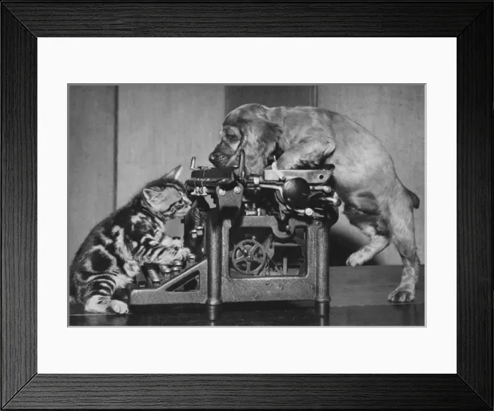 Framed Print : Susi - with kitten and typewriter Framed Print : Susi - with kitten and typewriter