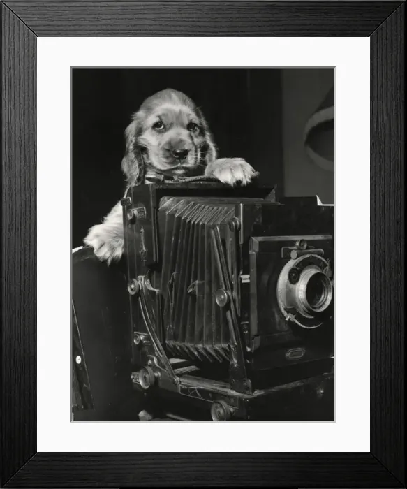 Framed Print : Susi - with large camera Framed Print : Susi - with large camera