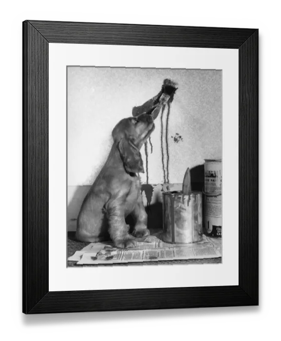 Framed Print : Susi - playing with paints Framed Print : Susi - playing with paints