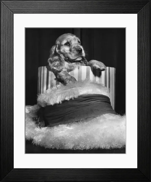 Framed Print : Susi - with hat and hatbox Framed Print : Susi - with hat and hatbox
