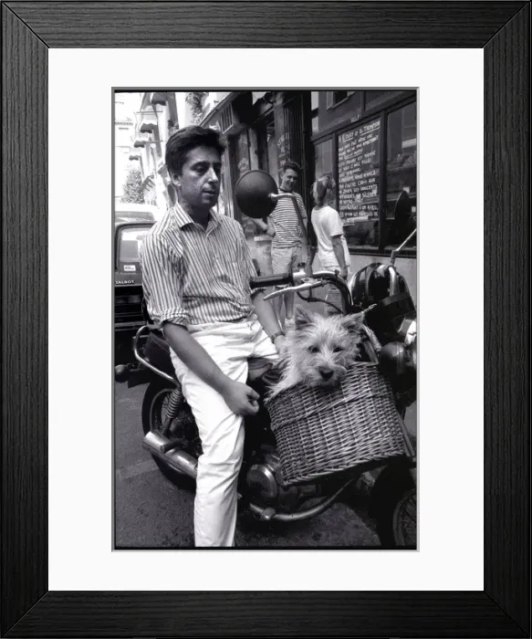 Framed Print : Dog riding in a basket on a scooter, Paris, France Framed Print : Dog riding in a basket on a scooter, Paris, France