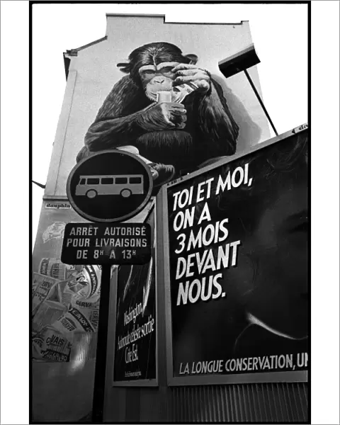 Monkey mural and street signs, Paris, France