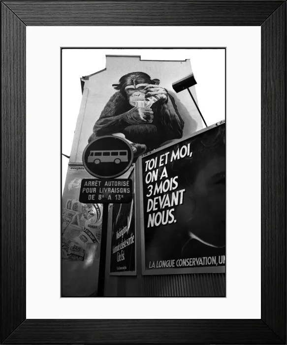 Framed Print : Monkey mural and street signs, Paris, France Framed Print : Monkey mural and street signs, Paris, France