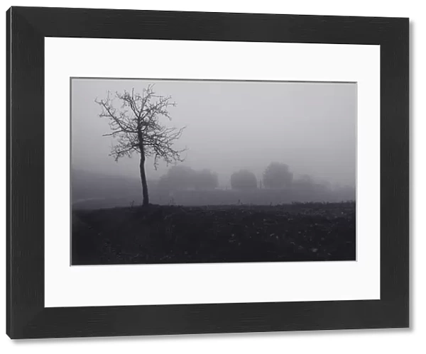 Misty landscape in Tuscany, Italy