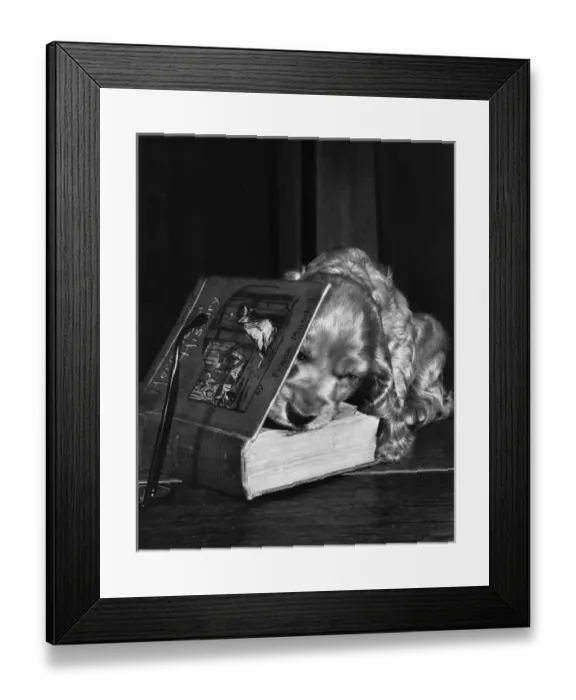 Framed Print : Susi - opening a book Framed Print : Susi - opening a book