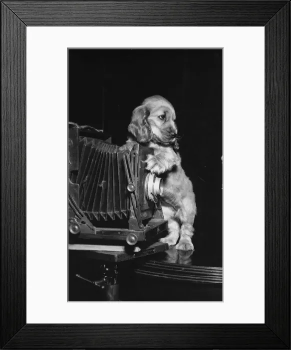Framed Print : Susi - with large camera Framed Print : Susi - with large camera