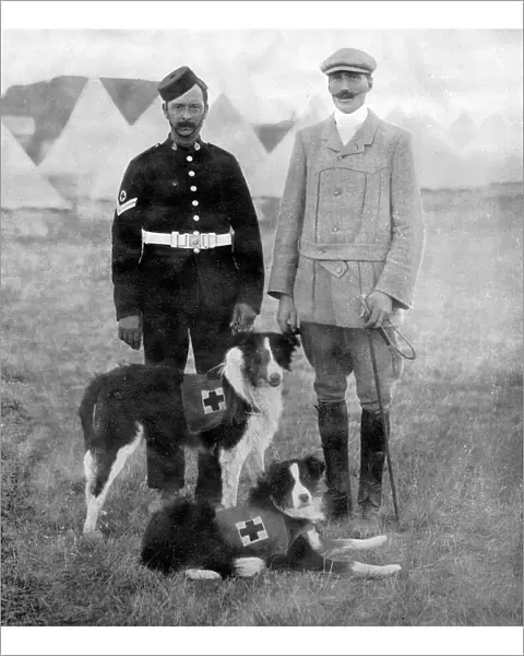 Major Richardson and his ambulance dogs