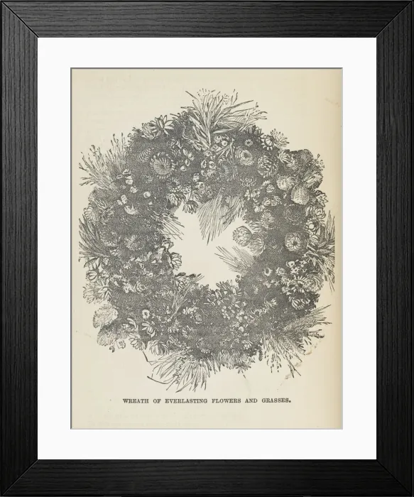 Framed Print : Wreath of everlasting flowers and grasses Framed Print : Wreath of everlasting flowers and grasses