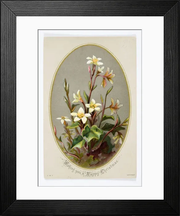 Framed Print : Christmas card Framed Print : Christmas card