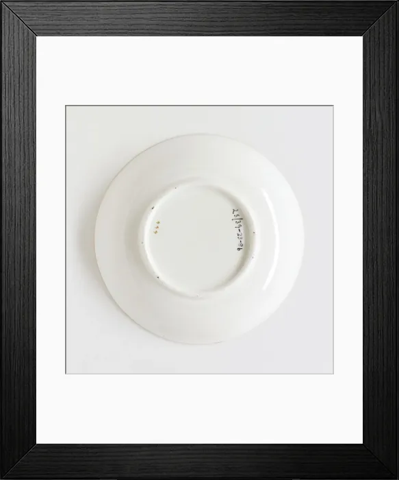 Framed Print : Saucer, reverse Framed Print : Saucer, reverse