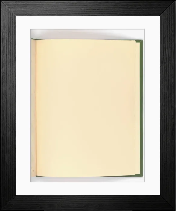 Framed Print : Page from Special New Designs of Brass and Iron Fenders, Fi Framed Print : Page from Special New Designs of Brass and Iron Fenders, Fi