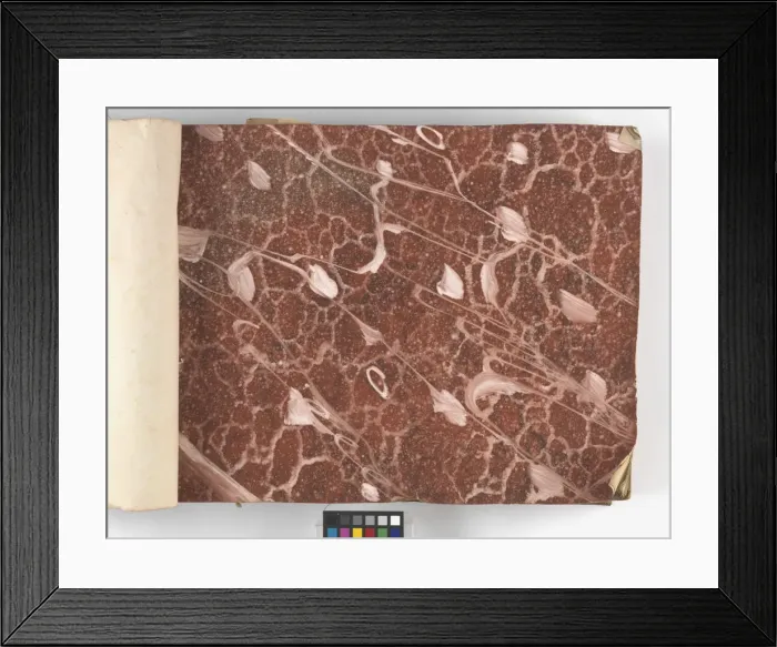 Framed Print : Page from New Artistic Wall Papers Framed Print : Page from New Artistic Wall Papers