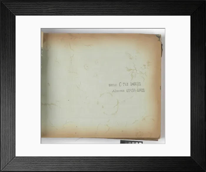 Framed Print : Page from New Artistic Wall Papers Framed Print : Page from New Artistic Wall Papers