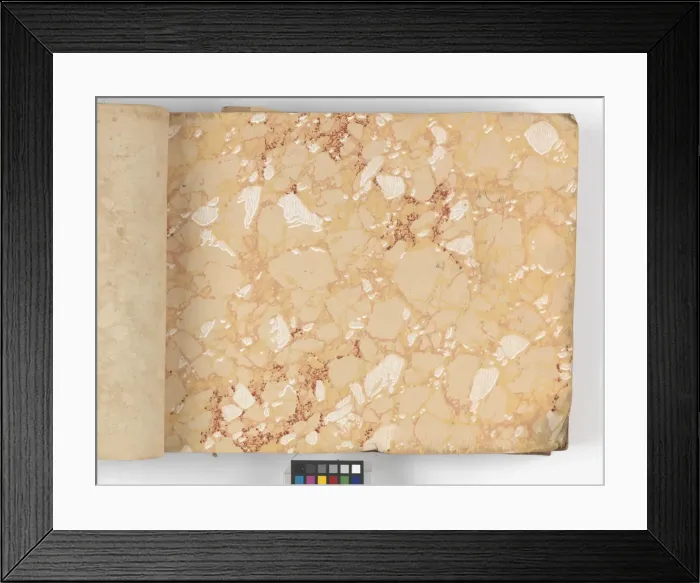 Framed Print : Page from New Artistic Wall Papers Framed Print : Page from New Artistic Wall Papers