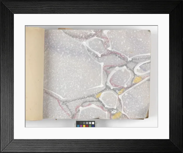 Framed Print : Page from New Artistic Wall Papers Framed Print : Page from New Artistic Wall Papers