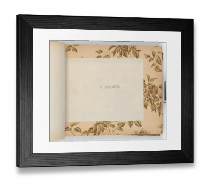 Framed Print : Page from New Artistic Wall Papers Framed Print : Page from New Artistic Wall Papers