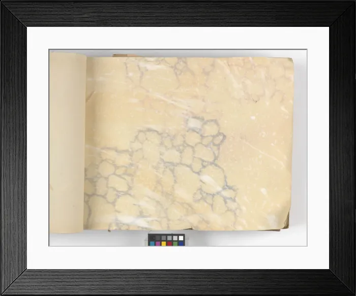 Framed Print : Page from New Artistic Wall Papers Framed Print : Page from New Artistic Wall Papers