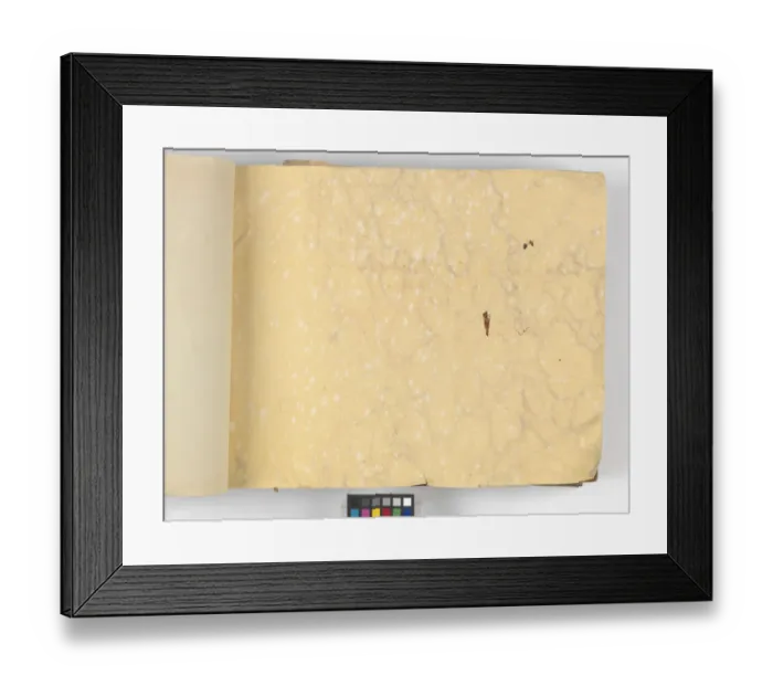 Framed Print : Page from New Artistic Wall Papers Framed Print : Page from New Artistic Wall Papers