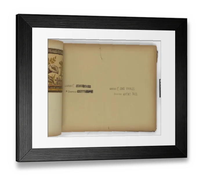 Framed Print : Page from New Artistic Wall Papers Framed Print : Page from New Artistic Wall Papers