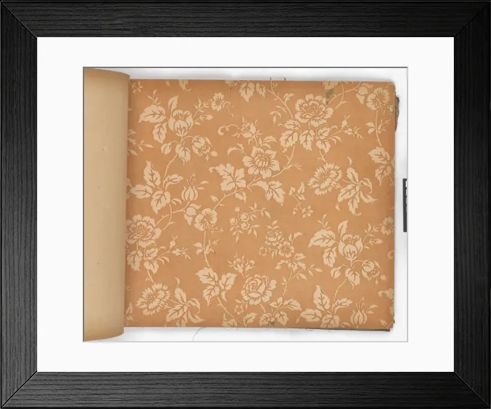 Framed Print : Page from New Artistic Wall Papers Framed Print : Page from New Artistic Wall Papers
