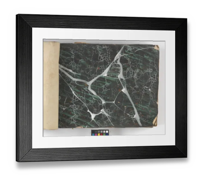 Framed Print : Page from New Artistic Wall Papers Framed Print : Page from New Artistic Wall Papers