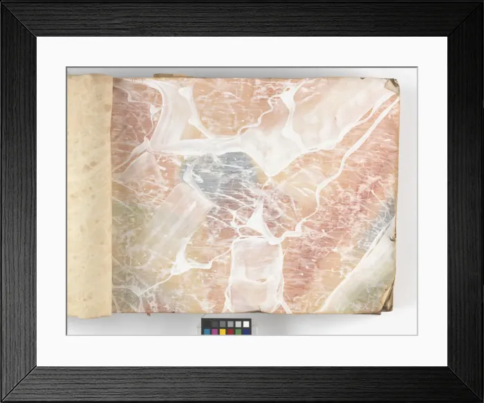 Framed Print : Page from New Artistic Wall Papers Framed Print : Page from New Artistic Wall Papers