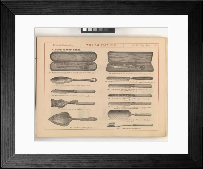 Framed Print : Page from William Tarn and Co.s Illustrated Catalogue: wit Framed Print : Page from William Tarn and Co.s Illustrated Catalogue: wit