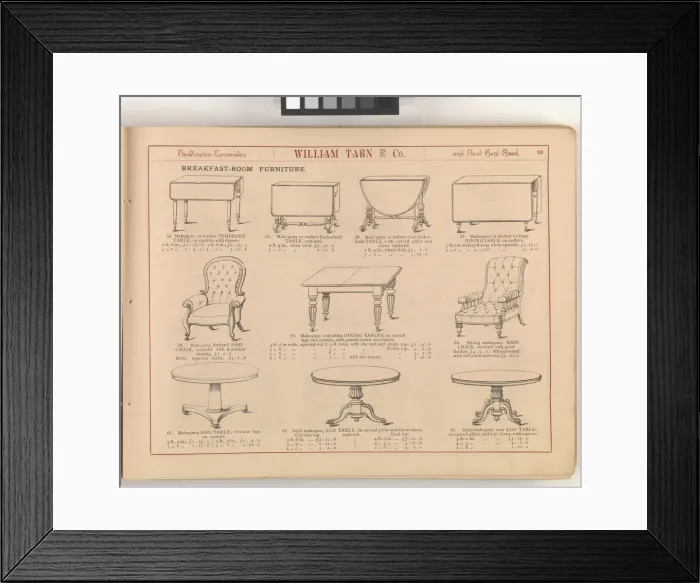 Framed Print : Page from William Tarn and Co.s Illustrated Catalogue: wit Framed Print : Page from William Tarn and Co.s Illustrated Catalogue: wit