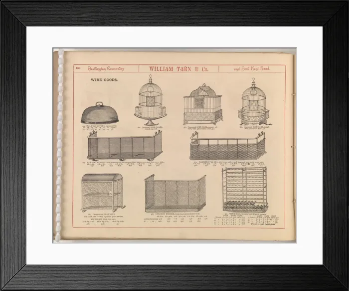 Framed Print : Page from William Tarn and Co.s Illustrated Catalogue: wit