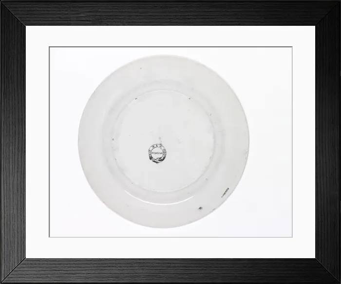 Framed Print : Plate, reverse Framed Print : Plate, reverse