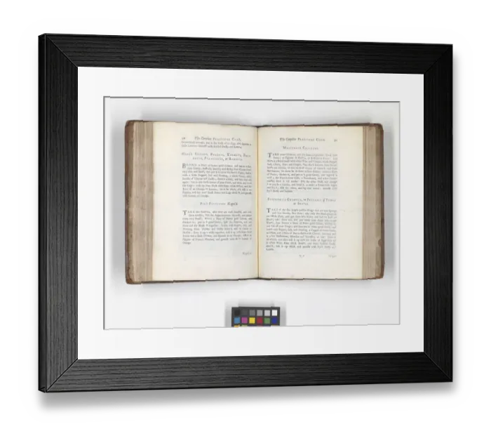 Framed Print : The Complete Practical Cook Framed Print : The Complete Practical Cook