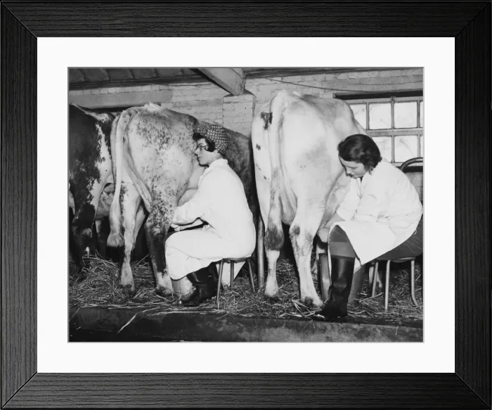 Framed Print : Land Girls WWII Framed Print : Land Girls WWII