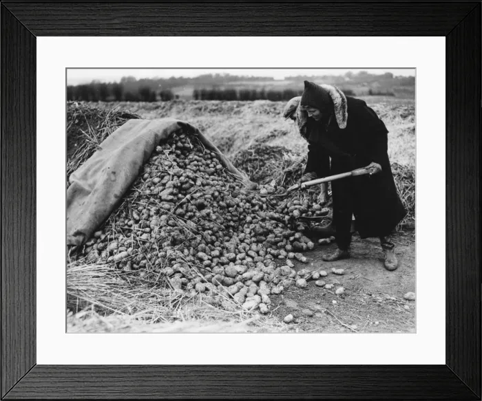Framed Print : Land Girls WWII Framed Print : Land Girls WWII