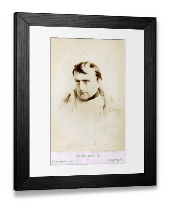 Framed Print : Napoleon Bonaparte after Battle of Fontainebleau Framed Print : Napoleon Bonaparte after Battle of Fontainebleau