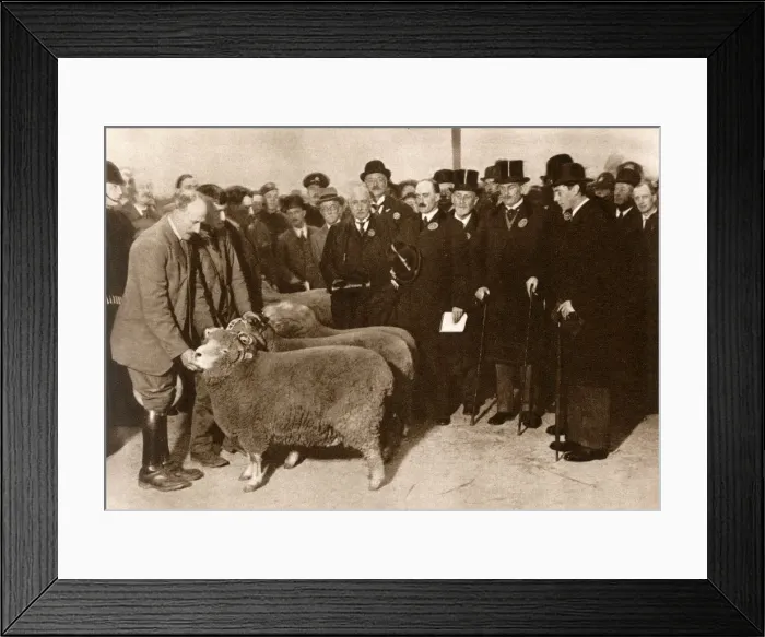 Framed Print : Duke of York at Smithfield Club Fat Stock Show Framed Print : Duke of York at Smithfield Club Fat Stock Show
