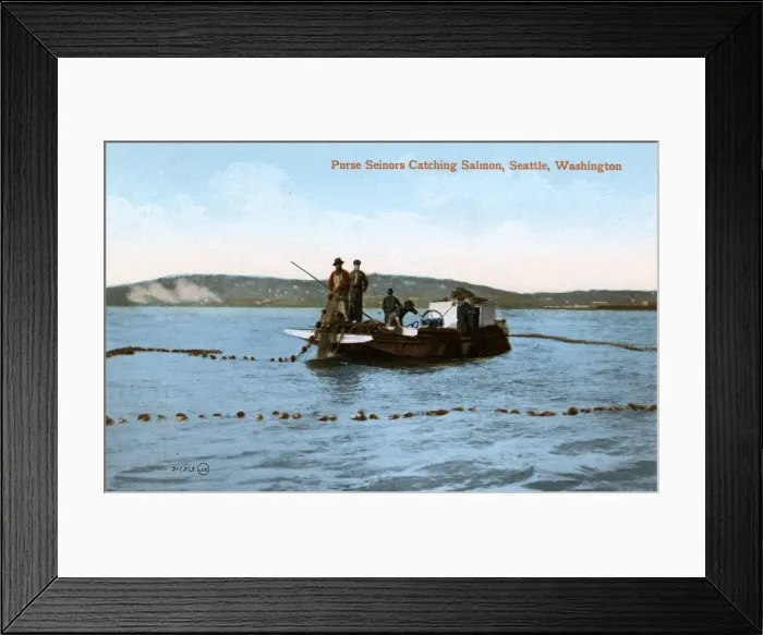 Framed Print : Purse Seinors Catching Salmon, Seattle, Washington, USA Framed Print : Purse Seinors Catching Salmon, Seattle, Washington, USA