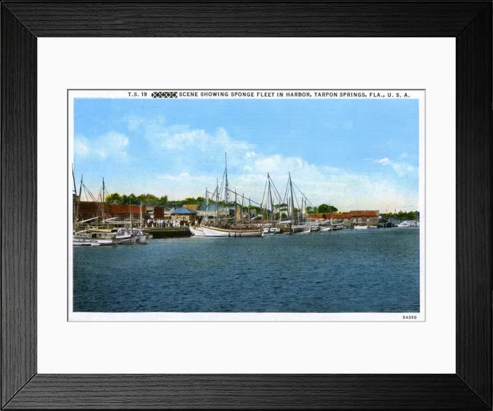 Framed Print : Sponge Fleet in Harbour - Tarpon Springs, Florida, USA Framed Print : Sponge Fleet in Harbour - Tarpon Springs, Florida, USA