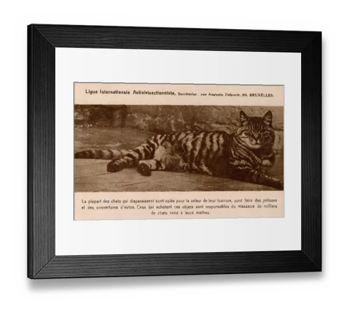 Framed Print : Card of the International Anti-Vivisection League - Cat Fur Framed Print : Card of the International Anti-Vivisection League - Cat Fur